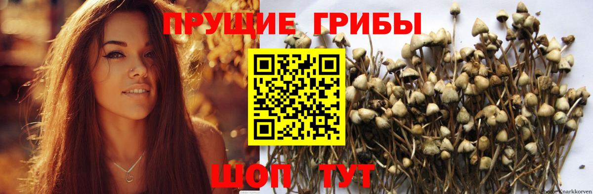 Псилоцибиновые грибы ЛСД Химки