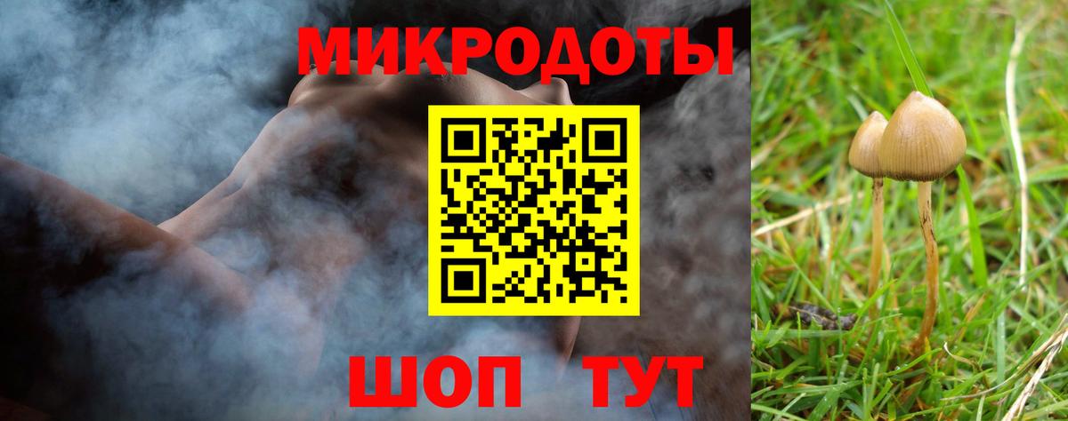 Галлюциногенные грибы прущие грибы  Вход с VPN  Химки 